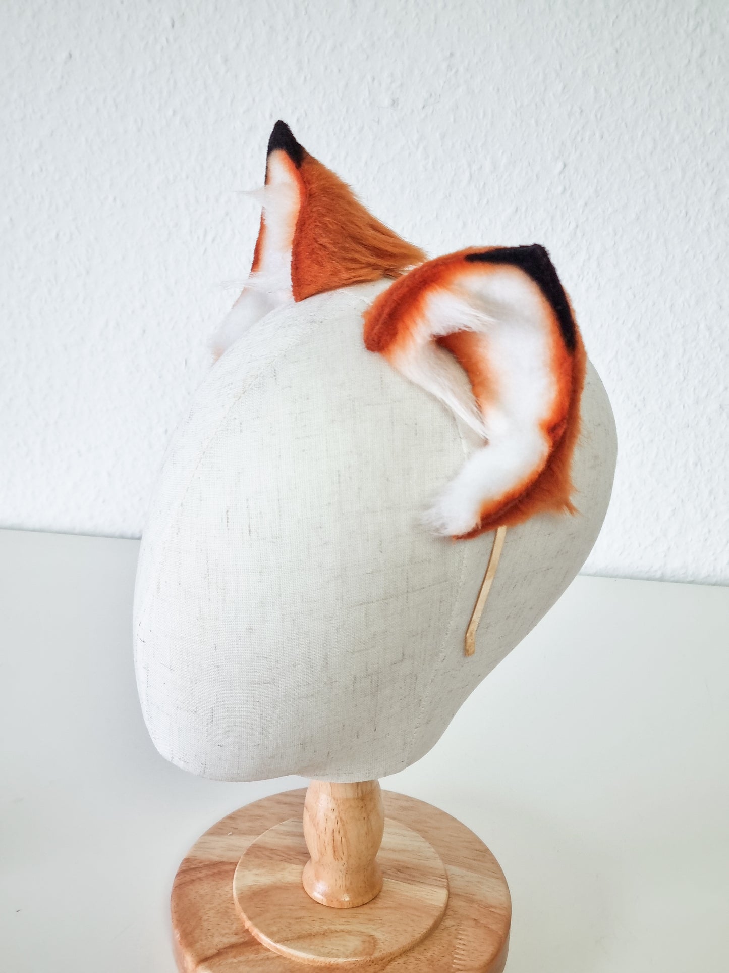 Fuchs Katze