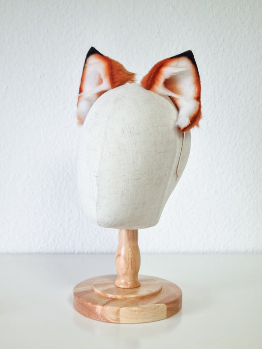Fuchs Katze