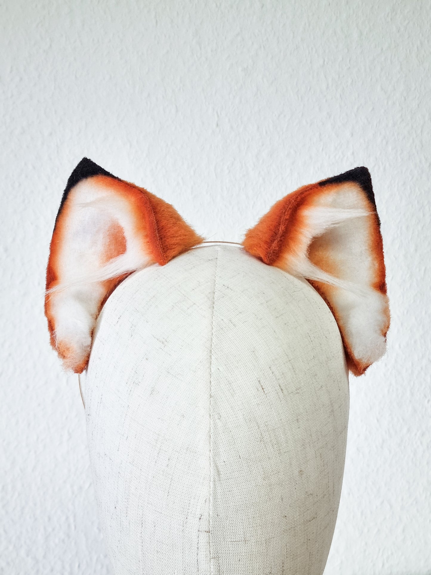 Fuchs Katze