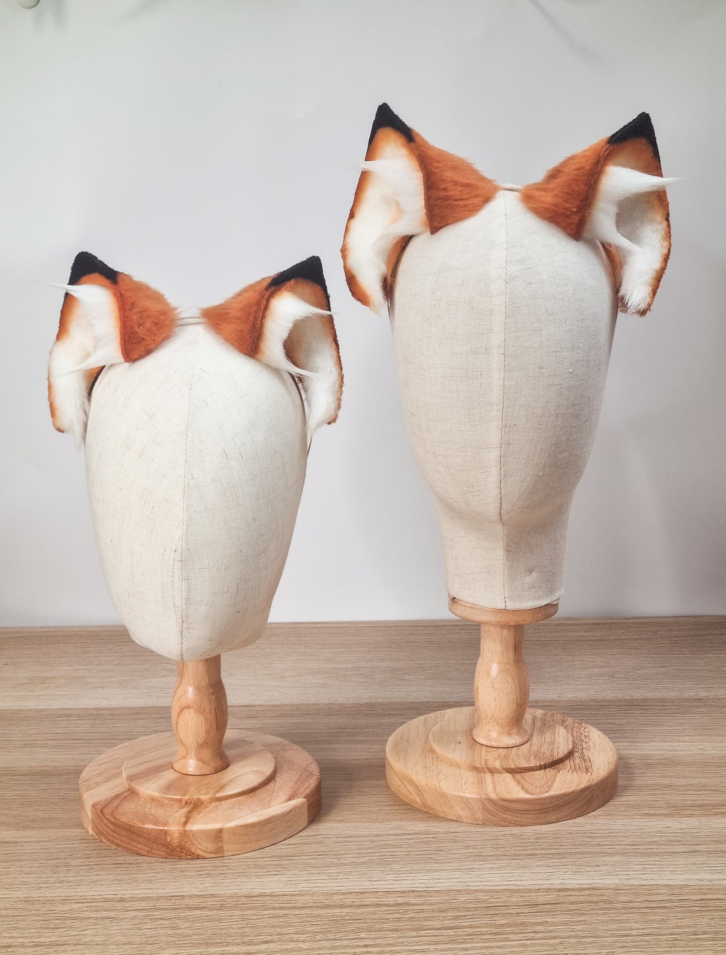 Fuchs Katze